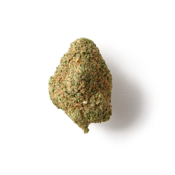 **Amnesia** Discover the invigorating essence of Amnesia, a classic cannabis strain known for its uplifting effects and rich, complex flavors. With a potent THC content, this sativa-dominant strain is perfect for those seeking an energetic boost and a burst of creativity. Amnesia boasts a unique aroma with earthy and citrus notes, often leaving a sweet aftertaste that lingers pleasantly. Users report enhanced focus and motivation, making it an ideal choice for daytime use or social gatherings. Whether you’re diving into a creative project or simply enjoying good company, Amnesia delivers an unforgettable experience that keeps you engaged and inspired. Embrace the euphoric effects of Amnesia and elevate your day!