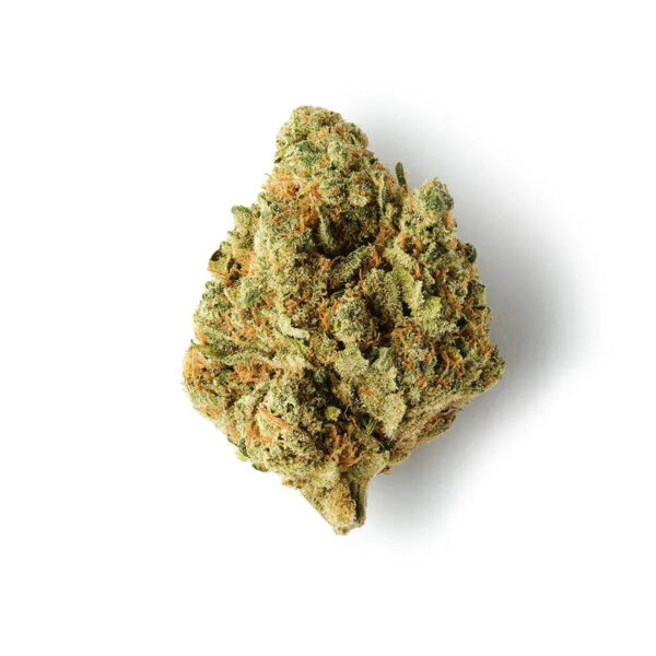 M8 amnesia A vibrant display of M8 Amnesia CBD Hemp Flower in a glass jar, showcasing dense, aromatic buds with earthy tones and subtle citrus highlights. The background features natural elements like green leaves and a wooden surface, emphasizing the strain's organic quality. Ideal for relaxation and clarity, this premium indoor strain offers a unique CBD experience.
